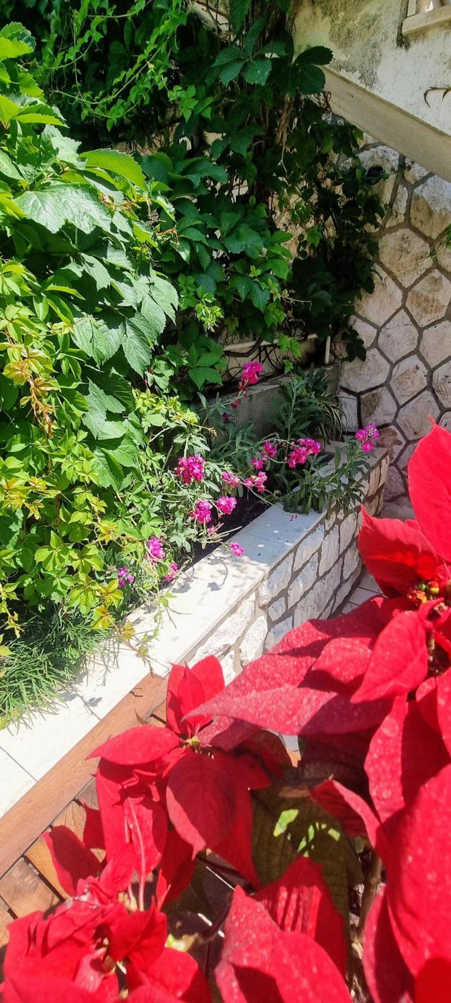 Apartment Lea Bayview Dubrovnik Exterior foto